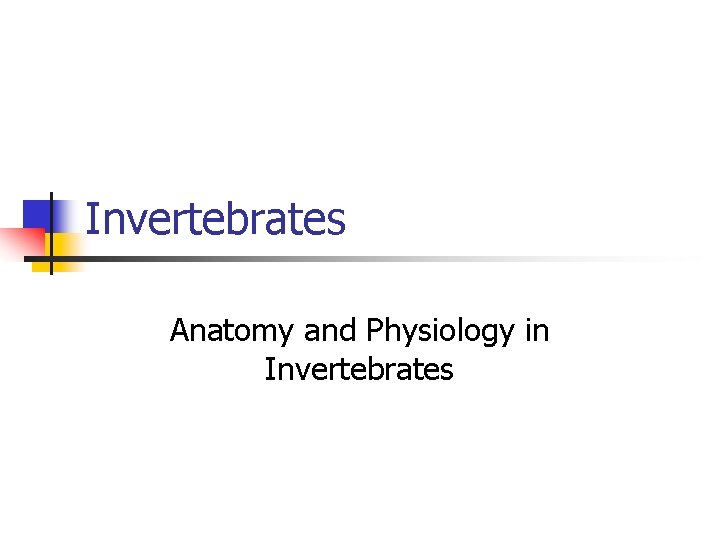 Invertebrates Anatomy and Physiology in Invertebrates 