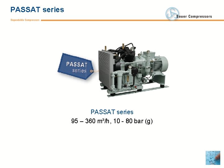 PASSAT series 95 – 360 m³/h, 10 - 80 bar (g) 