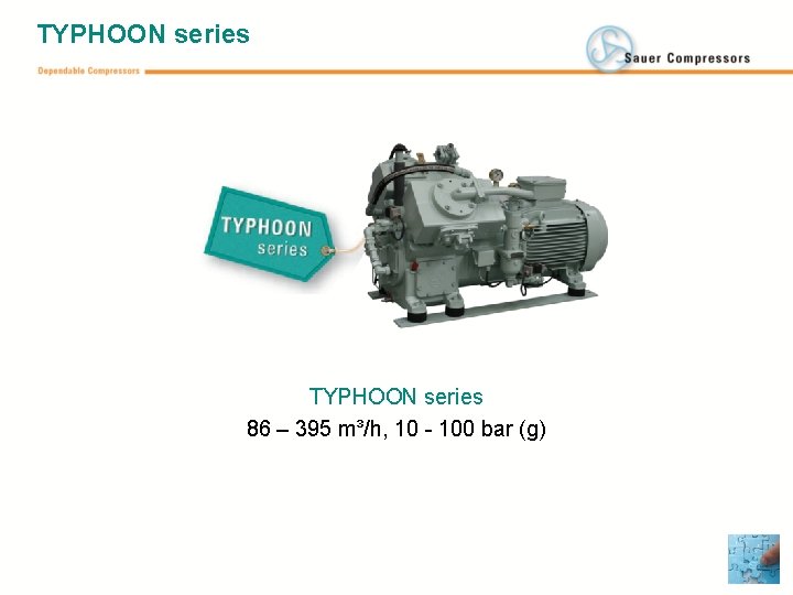 TYPHOON series 86 – 395 m³/h, 10 - 100 bar (g) 