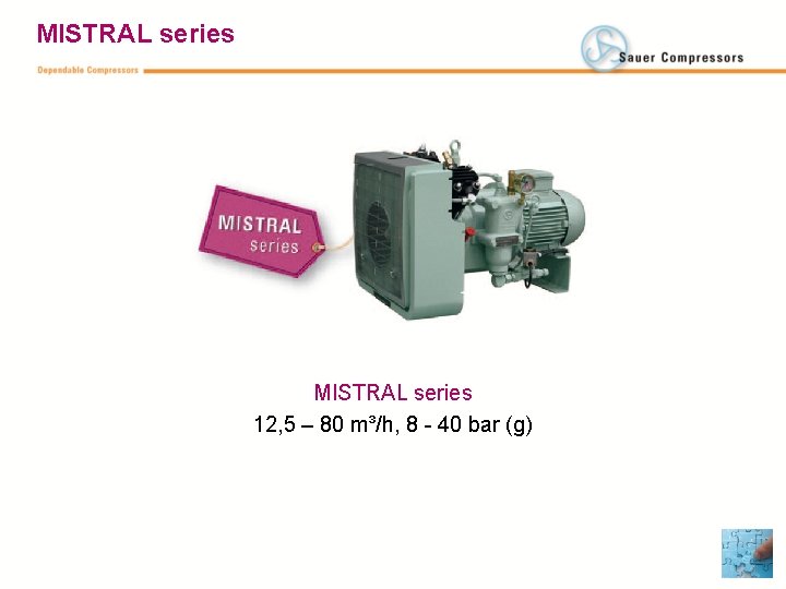 MISTRAL series 12, 5 – 80 m³/h, 8 - 40 bar (g) 