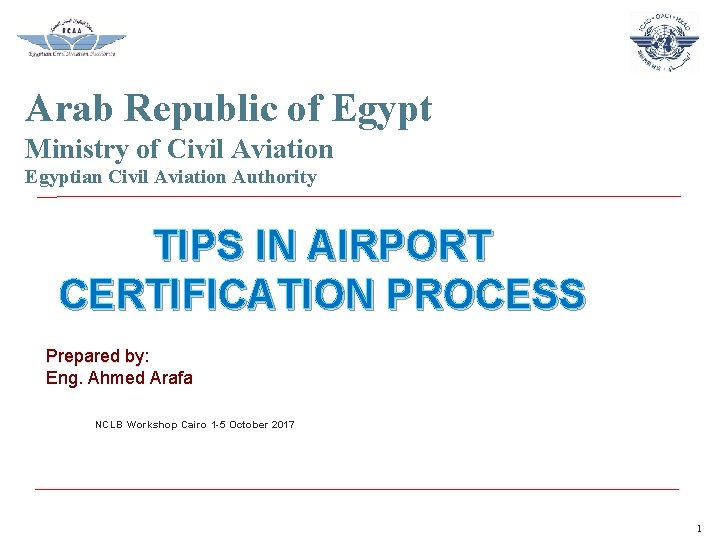 Arab Republic of Egypt Ministry of Civil Aviation Egyptian Civil Aviation Authority TIPS IN
