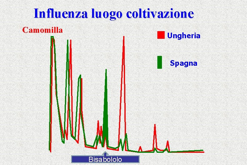 Influenza luogo coltivazione Camomilla Ungheria Spagna Bisabololo 