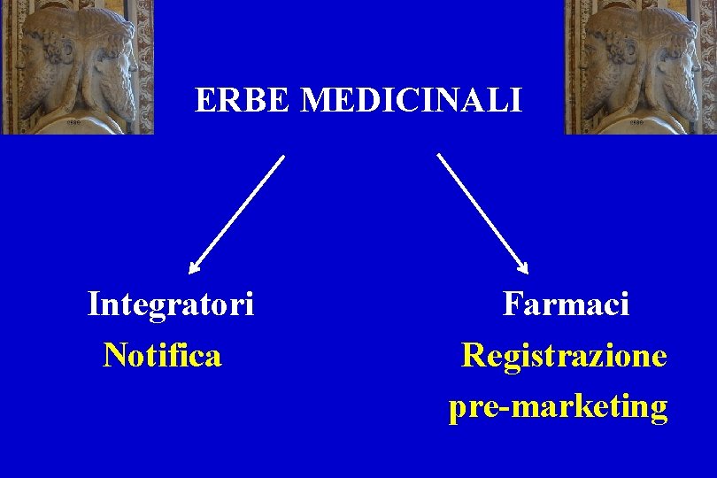 ERBE MEDICINALI Integratori Notifica Farmaci Registrazione pre-marketing 