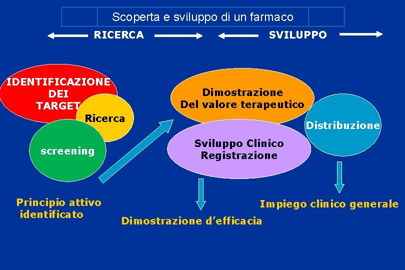 Scoperta e sviluppo di un farmaco RICERCA IDENTIFICAZIONE DEI TARGET Ricerca screening Principio attivo