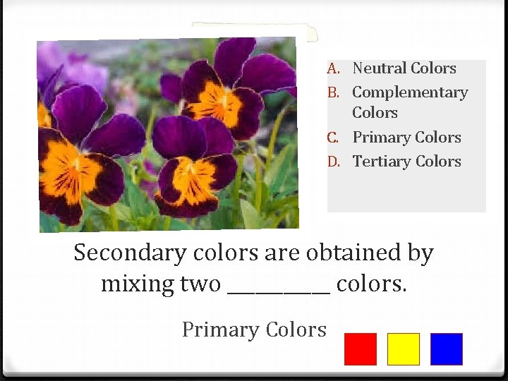 A. Neutral Colors B. Complementary Colors C. Primary Colors D. Tertiary Colors Secondary colors