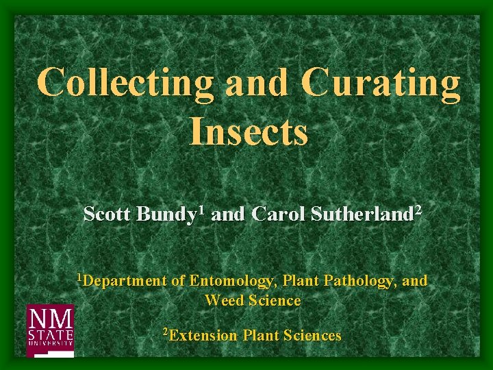 Collecting and Curating Insects Scott Bundy 1 and Carol Sutherland 2 1 Department of