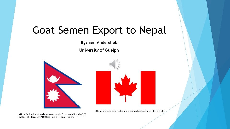 Goat Semen Export to Nepal By: Ben Anderchek University of Guelph http: //www. enchantedlearning.
