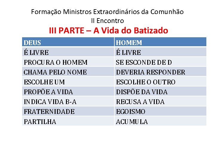 Formação Ministros Extraordinários da Comunhão II Encontro III PARTE – A Vida do Batizado