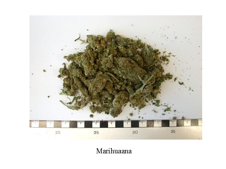 Marihuaana Marihuaana