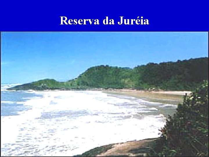 Reserva da Juréia 