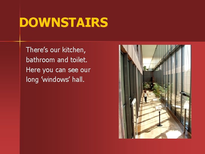 DOWNSTAIRS There’s our kitchen, bathroom and toilet. Here you can see our long ’windows’