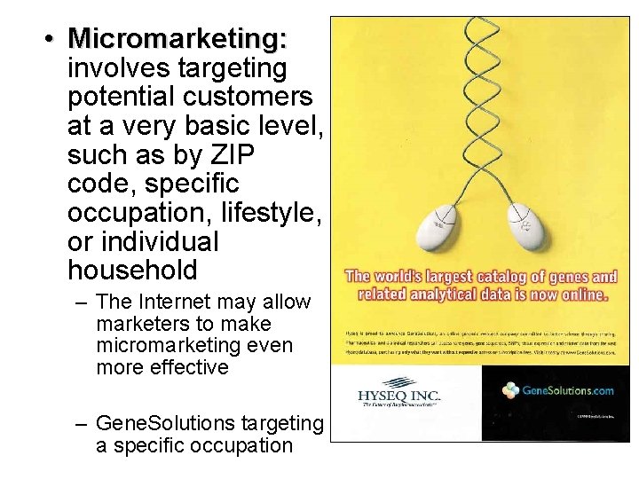 • Micromarketing: involves targeting potential customers at a very basic level, such as • Micromarketing: involves targeting potential customers at a very basic level, such as