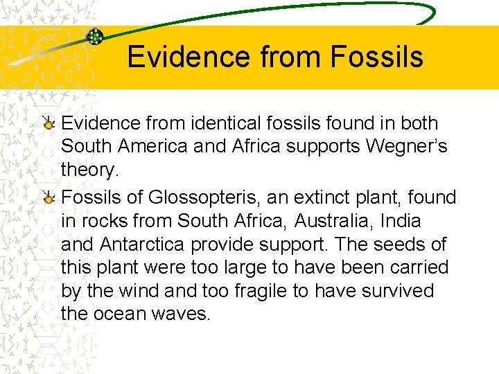 Evidence from Fossils Evidence from identical fossils found in both South America and Africa