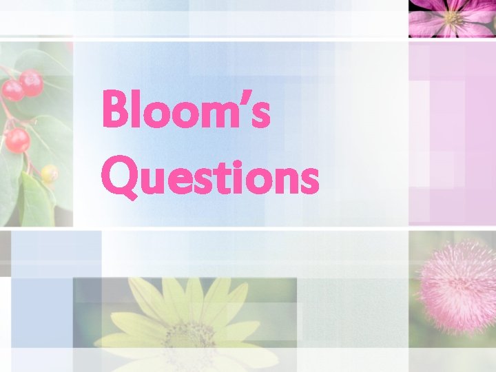 Bloom’s Questions 
