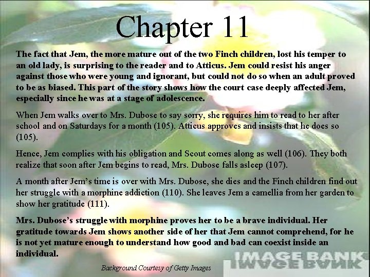 Chapter 11 The fact that Jem, the more mature out of the two Finch