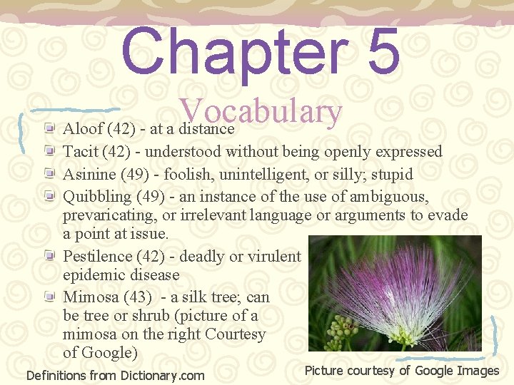 Chapter 5 Vocabulary Aloof (42) - at a distance Tacit (42) - understood without