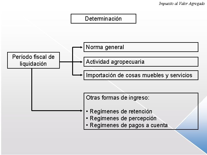 Impuesto al Valor Agregado Determinación Norma general Período fiscal de liquidación Actividad agropecuaria Importación