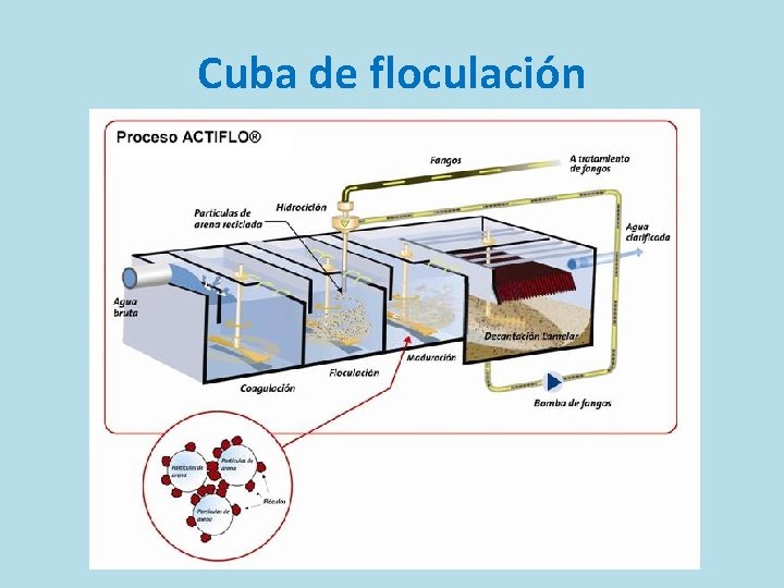 Cuba de floculación 