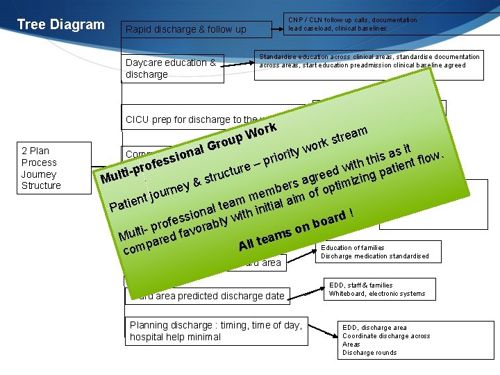 Tree Diagram CNP / CLN follow up calls, documentation lead caseload, clinical baselines Rapid