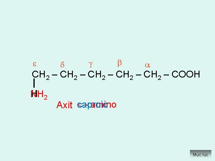  CH 2 – CH 2 – COOH HH 2 N amino Axit caproic