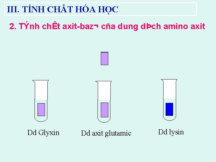 III. TÍNH CHẤT HÓA HỌC 2. TÝnh chÊt axit baz¬ cña dung dÞch amino