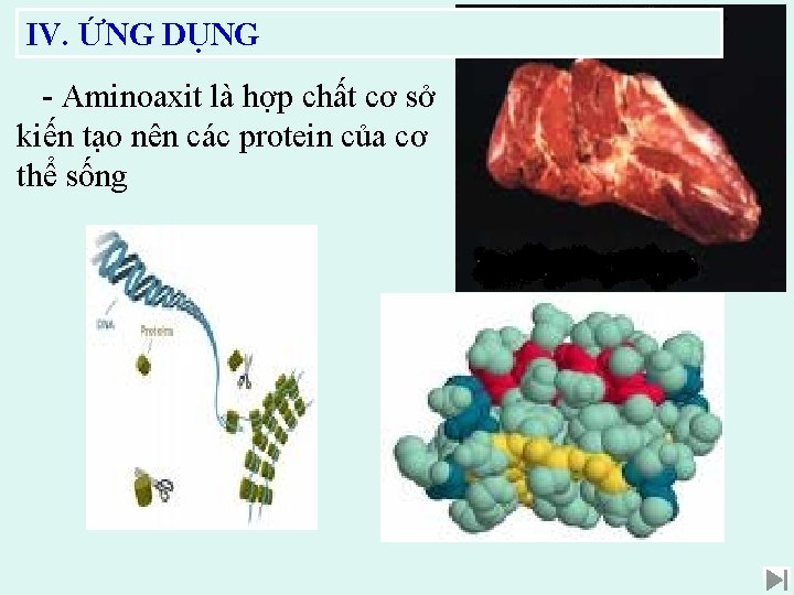 IV. ỨNG DỤNG - Aminoaxit là hợp chất cơ sở kiến tạo nên các