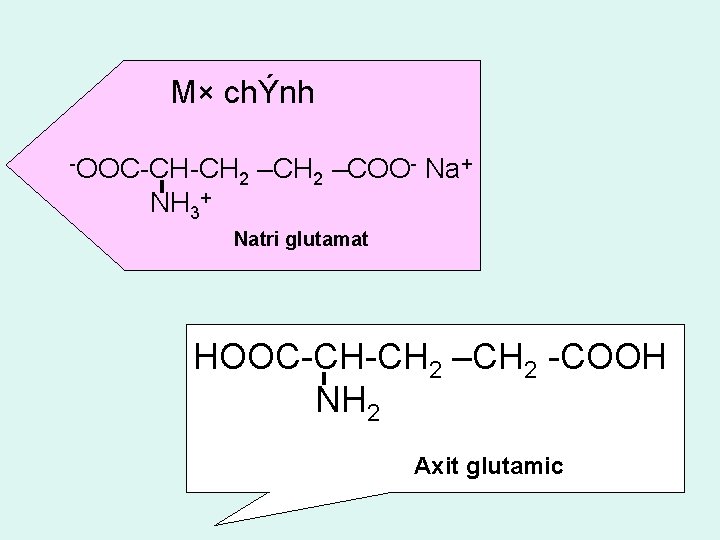 M× chÝnh OOC CH CH NH 3+ Na+ –CH –COO 2 2 Natri glutamat