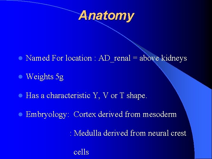 Anatomy l Named For location : AD_renal = above kidneys l Weights 5 g