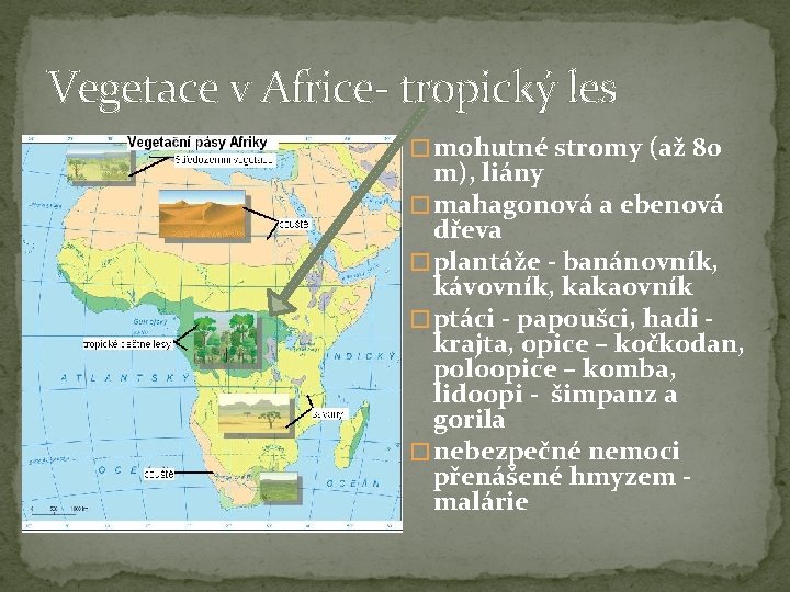 Vegetace v Africe- tropický les � mohutné stromy (až 80 m), liány � mahagonová