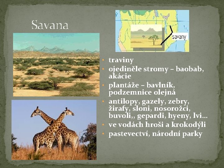  Savana • traviny • ojediněle stromy – baobab, • • akácie plantáže –