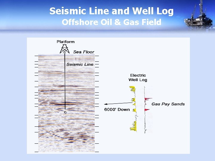 Seismic Line and Well Log Offshore Oil & Gas Field 