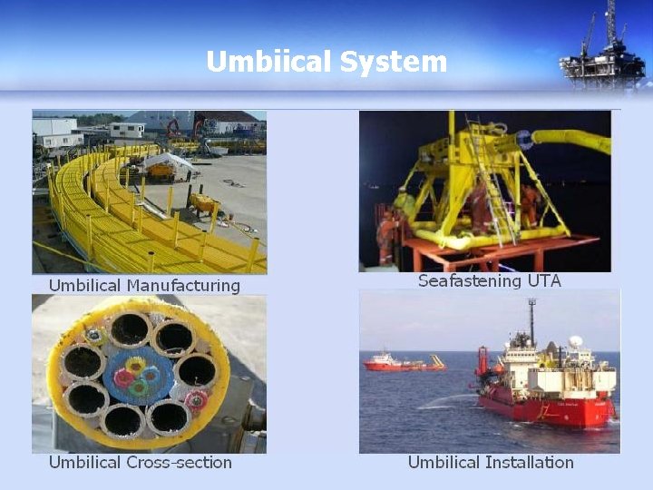 Umbiical System 