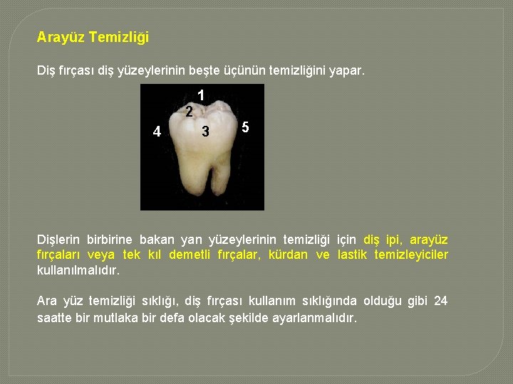 Arayüz Temizliği Diş fırçası diş yüzeylerinin beşte üçünün temizliğini yapar. 1 2 4 3