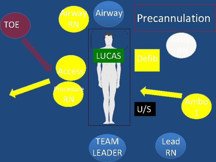 TOE Airway RN LUCAS Precannulation Defib Drugs RN Access Procedure RN Ambo 1 U/S