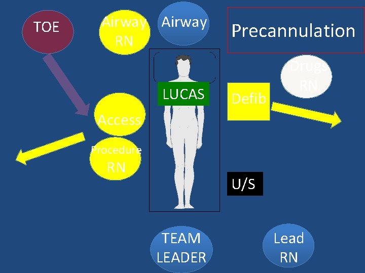 TOE Airway RN LUCAS Precannulation Defib Drugs RN Access Procedure RN U/S TEAM LEADER