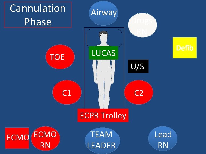 Cannulation Phase TOE Airway Drugs RN Defib LUCAS U/S C 1 C 2 ECPR