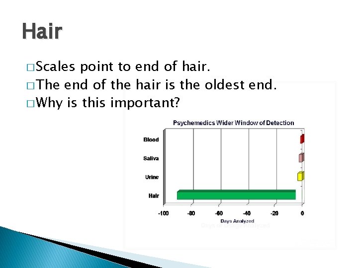 Hair � Scales point to end of hair. � The end of the hair Hair � Scales point to end of hair. � The end of the hair