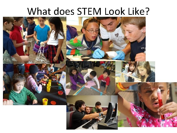 What does STEM Look Like? 