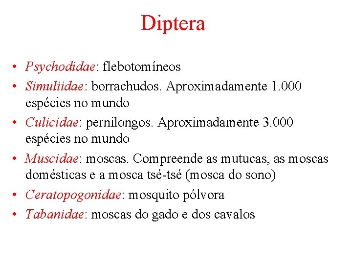 Diptera • Psychodidae: flebotomíneos • Simuliidae: borrachudos. Aproximadamente 1. 000 espécies no mundo •