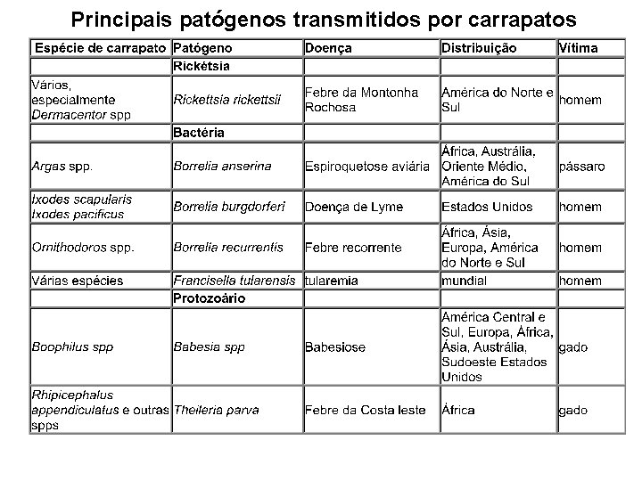 Principais patógenos transmitidos por carrapatos 