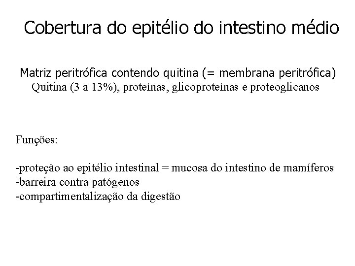 Cobertura do epitélio do intestino médio Matriz peritrófica contendo quitina (= membrana peritrófica) Quitina