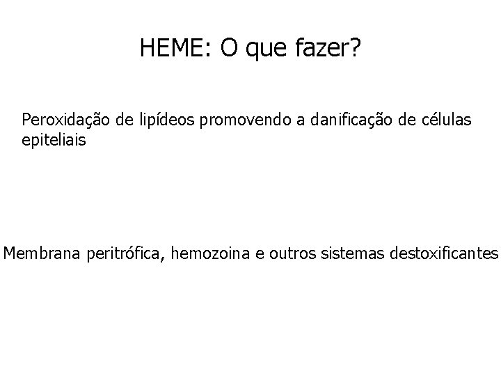 HEME: O que fazer? Peroxidação de lipídeos promovendo a danificação de células epiteliais Membrana