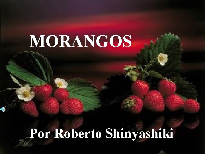 MORANGOS Por Roberto Shinyashiki 