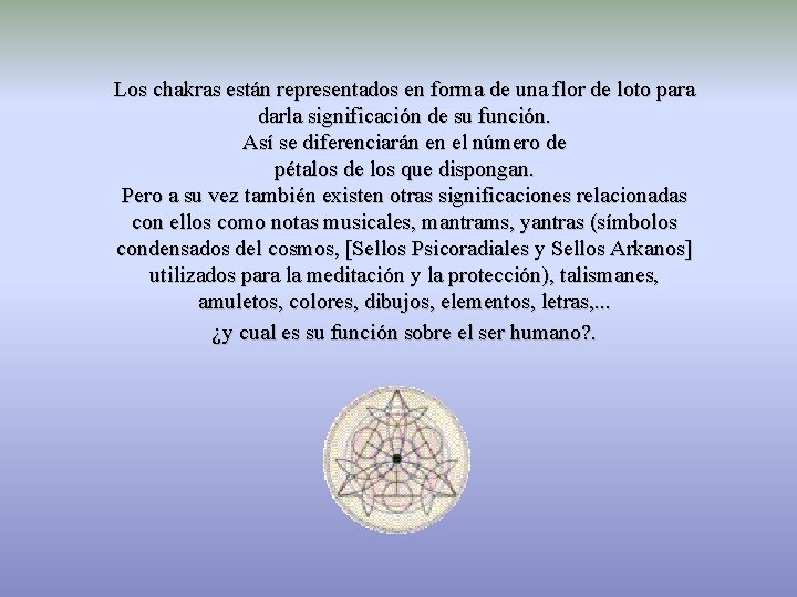 Los chakras están representados en forma de una flor de loto para darla significación