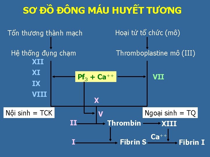 SƠ ĐỒ ĐÔNG MÁU HUYẾT TƯƠNG Hoại tử tổ chức (mô) Tổn thương thành