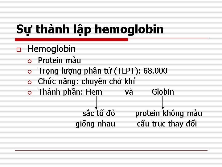 Sự thành lập hemoglobin o Hemoglobin ¡ ¡ Protein màu Trọng lượng phân tử