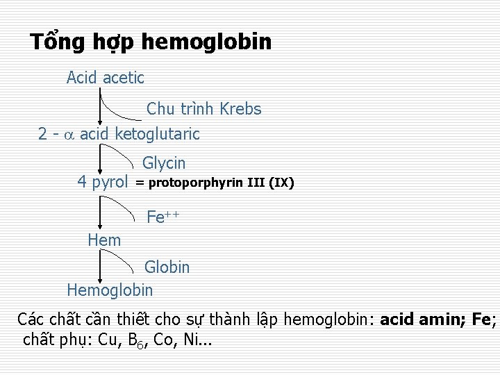 Tổng hợp hemoglobin Acid acetic Chu trình Krebs 2 - acid ketoglutaric 4 pyrol