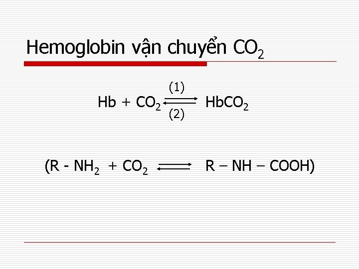 Hemoglobin vận chuyển CO 2 Hb + CO 2 (R - NH 2 +