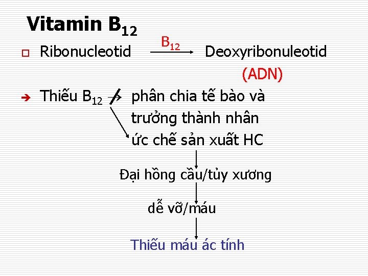 Vitamin B 12 o Ribonucleotid Thiếu B 12 Deoxyribonuleotid (ADN) phân chia tế bào