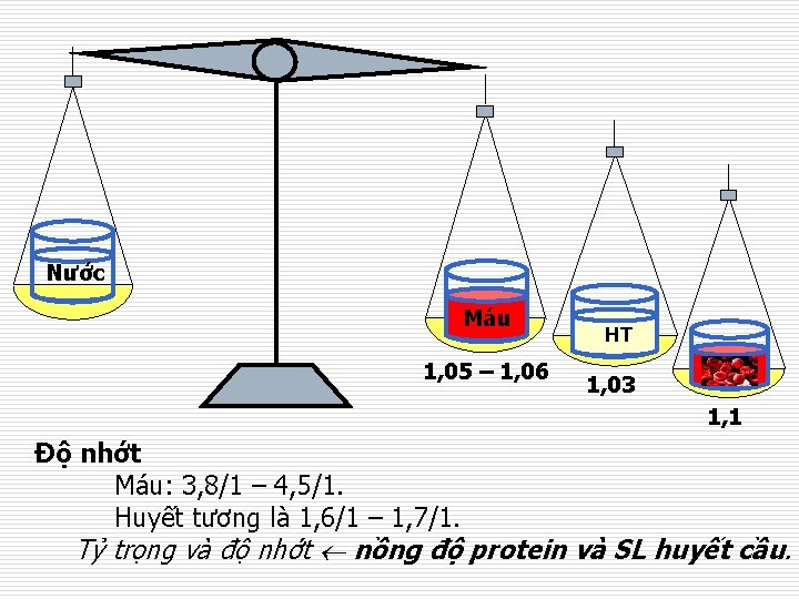 Nước Máu 1, 05 – 1, 06 HT 1, 03 1, 1 Độ nhớt